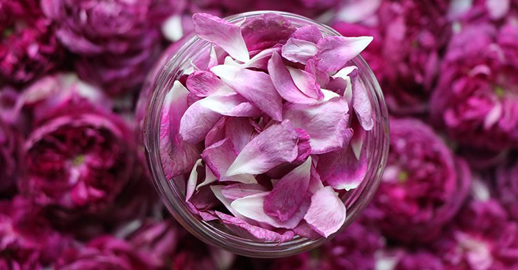 Thúc đẩy hoạt động hệ tiêu hóa